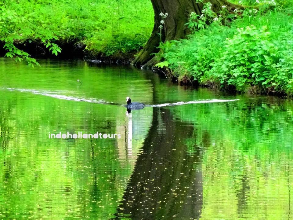 liburan ke belanda kunjungi desa 