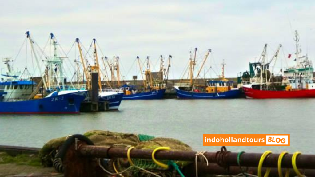 wisata pelabuhan ikan