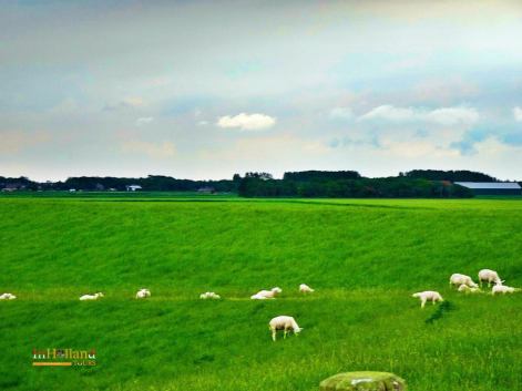 Keindahan pulau pulau di Belanda