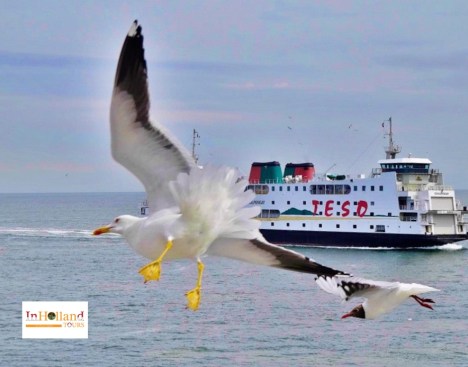 jelajah desa-desa di pulau texel
