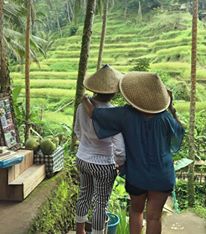Panorama Ubud Bali dengan sawah hijau dan hutan tropis