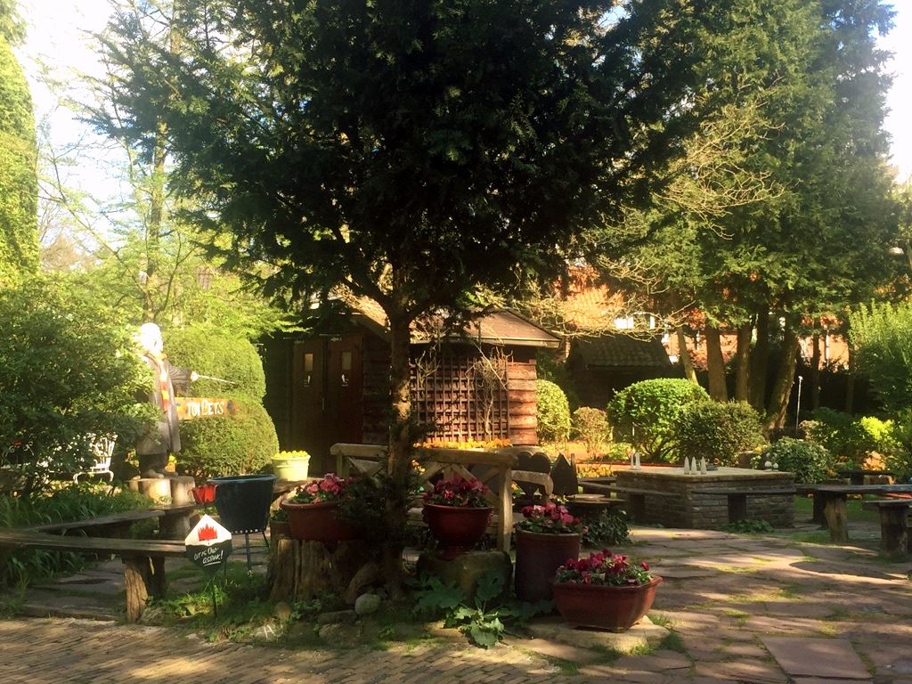 Muslimah berjalan di hutan di Lage Vuursche, Belanda dengan latar alam hijau dan langit cerah