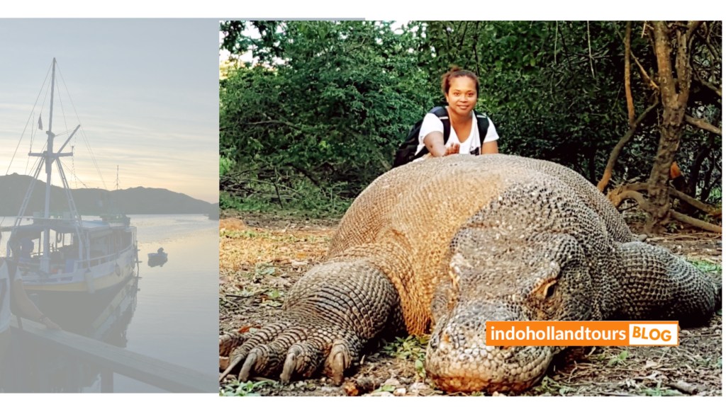 Komodo Flores Indonesia