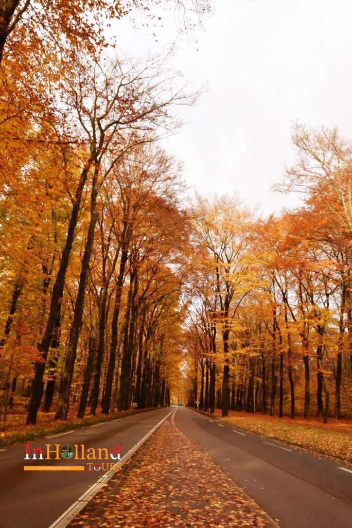 musim gugur di belanda