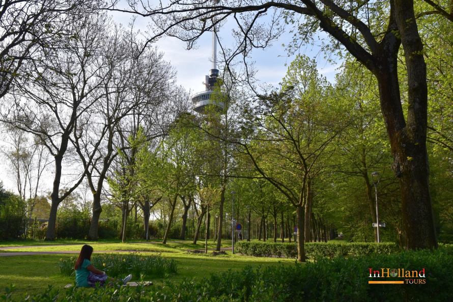 Taman disekitar Euromast - IndoHolland Tours