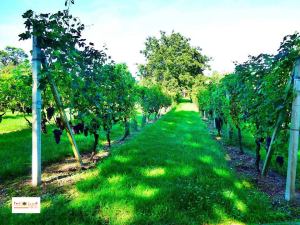 Somma Lombardo Italia Eropa