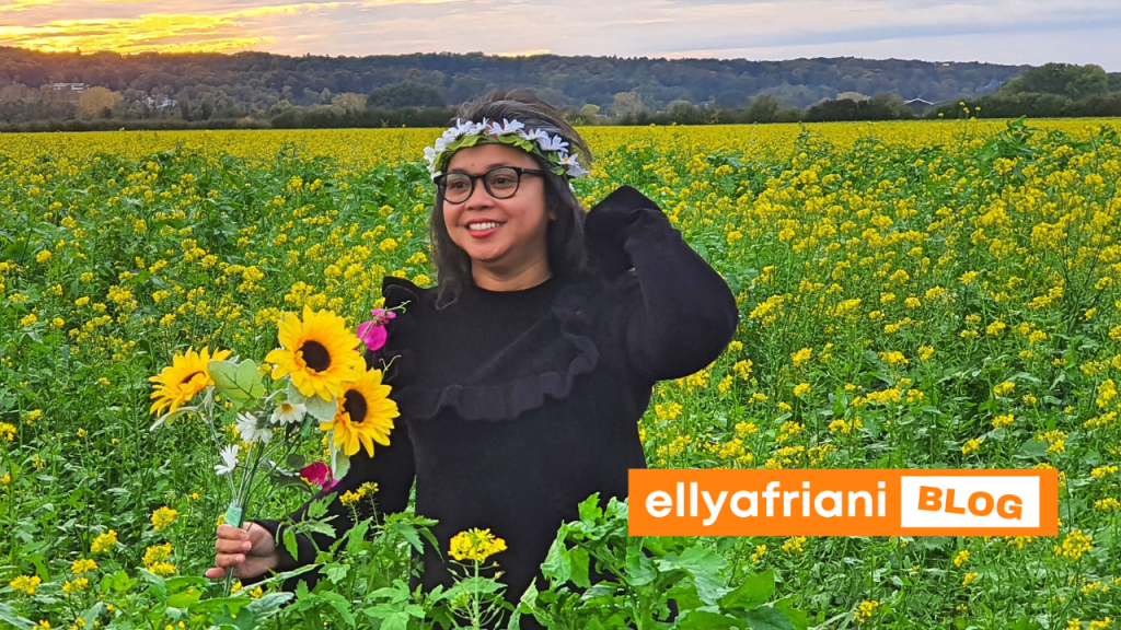 ladang lobak belanda