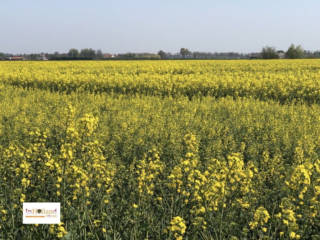 Geldeland Belanda Eropa