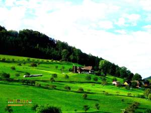 Lucerne Switzerland Europe