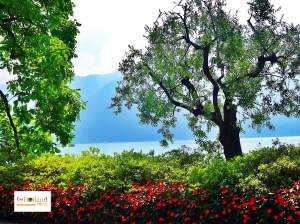 Lugano Switzerland Europe