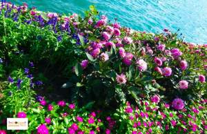 Lugano Switzerland Europe