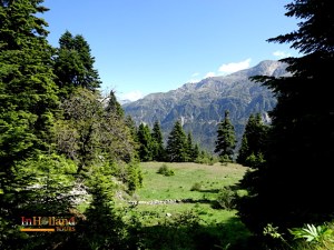 Agnanta Tzoumerka, Yunani, Eropa