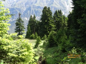 Desa Agnanta Tzoumerka, Yunani, Eropa