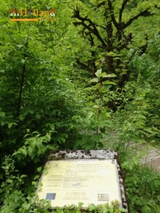 Air terjun Kouiasa Tzoumerka, Yunani, Eropa