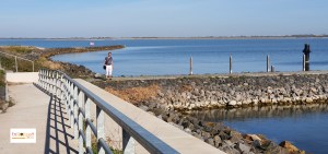 Tanggul di Belanda, Eropa Barat