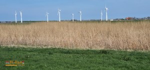 Zurich village Friesland, Holland