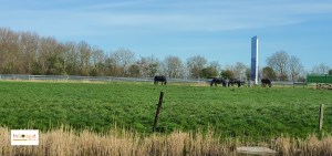 Zurich village Friesland, Holland, Europe
