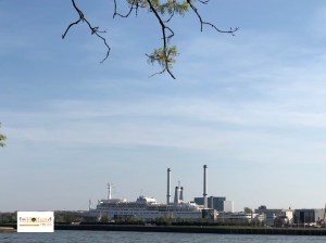 Relax bike tour in Rotterdam city