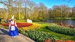 Bunga tulip di Lisse Keukenhof Belanda Eropa