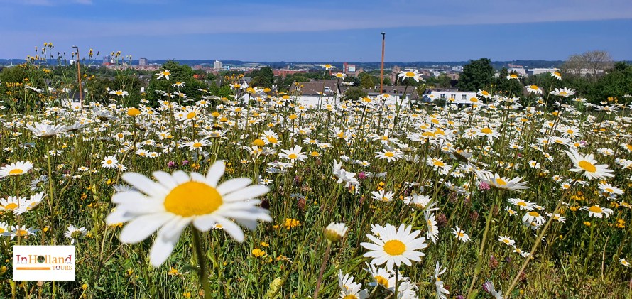 Maastricht Limburg in Holland Europe