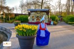 taman bunga tulip di Lisse Keukenhof Belanda Eropa