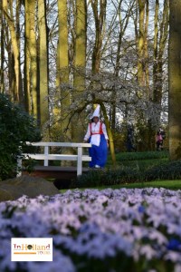 Tulip di Lisse Keukenhof South Holland Eropa
