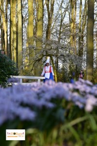 Tulips in Keukenhof, Lisse, Holland, Europe