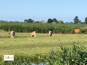 Zaanse Schans Belanda Utara, Eropa Barat
