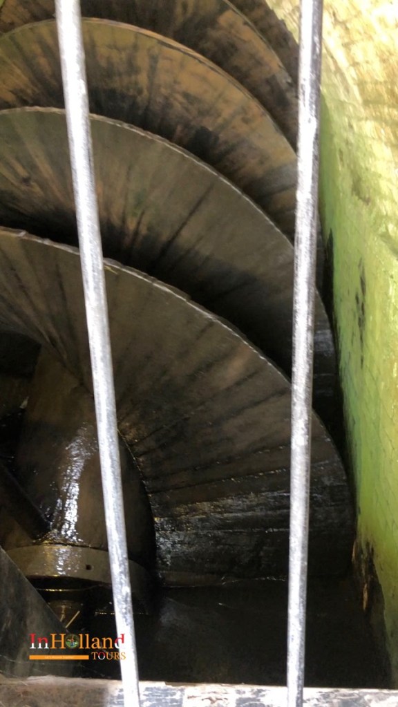 Schermerhorn Holland