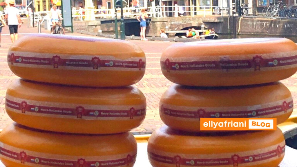kota keju alkmaar belanda