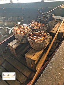 broek op langedijk holland