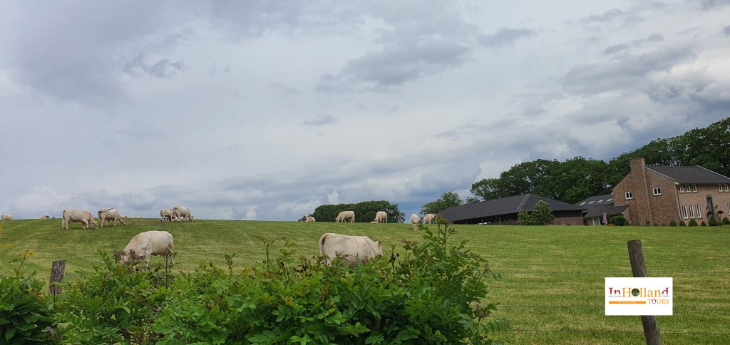 suasana desa di belanda
