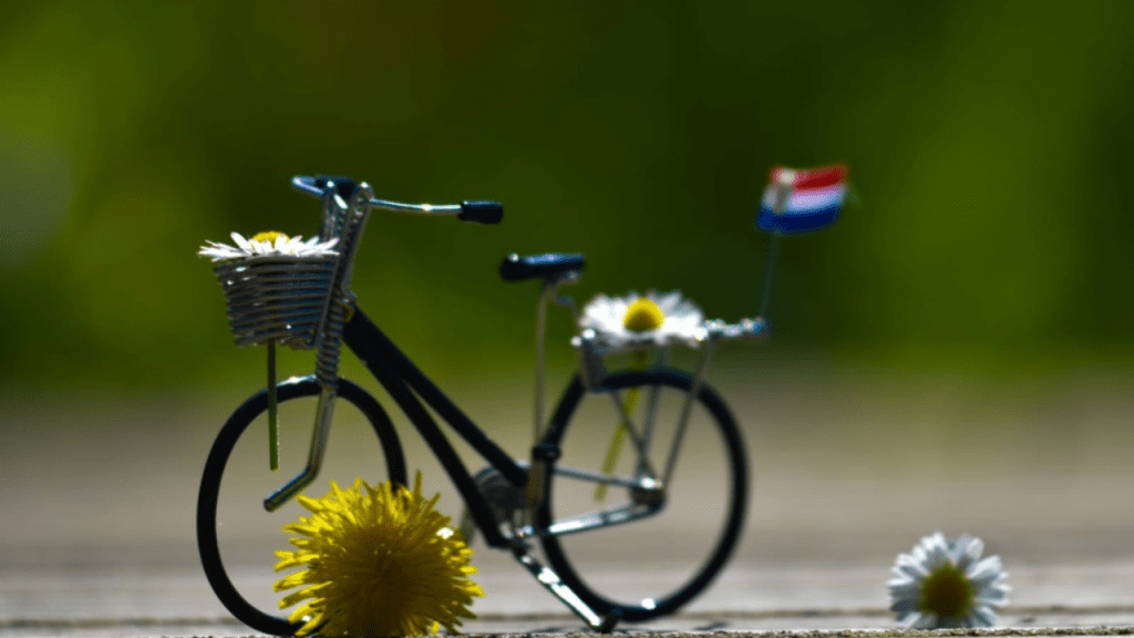 sepeda di millingen aan de rijn