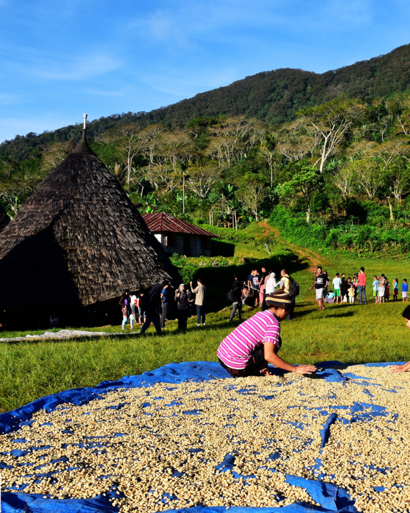 In deze rubriek verzamel ik lokale verhalen uit heel Indonesië — ontmoetingen, tradities en kleine momenten die laten zien hoe rijk en menselijk dit land werkelijk is.