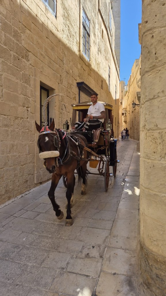 Mdina juga punya daya tarik spesial: beberapa adegan Game of Thrones