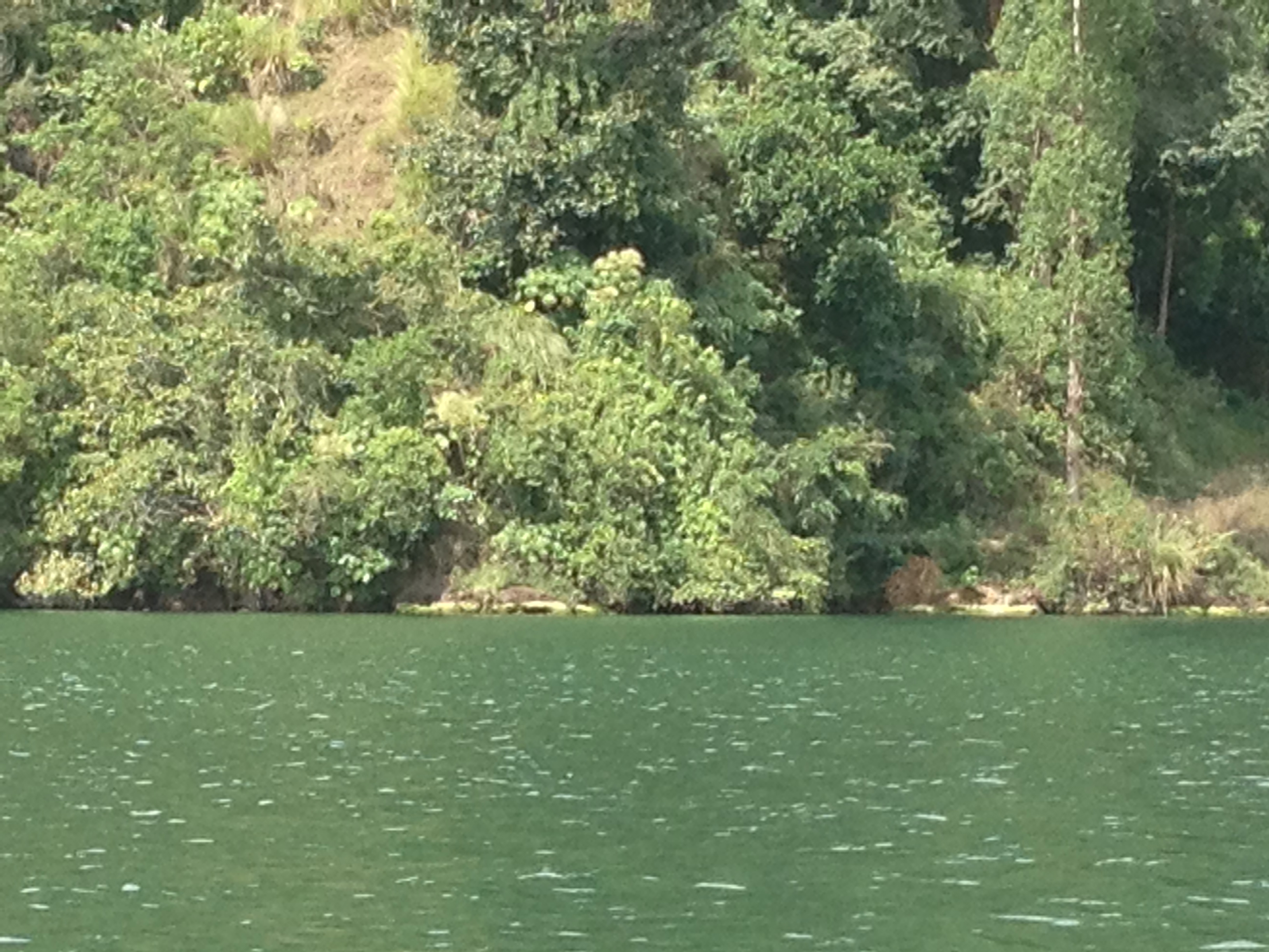 Uitzicht op het rustige Baturmeer vanuit het mystieke dorp Trunyan