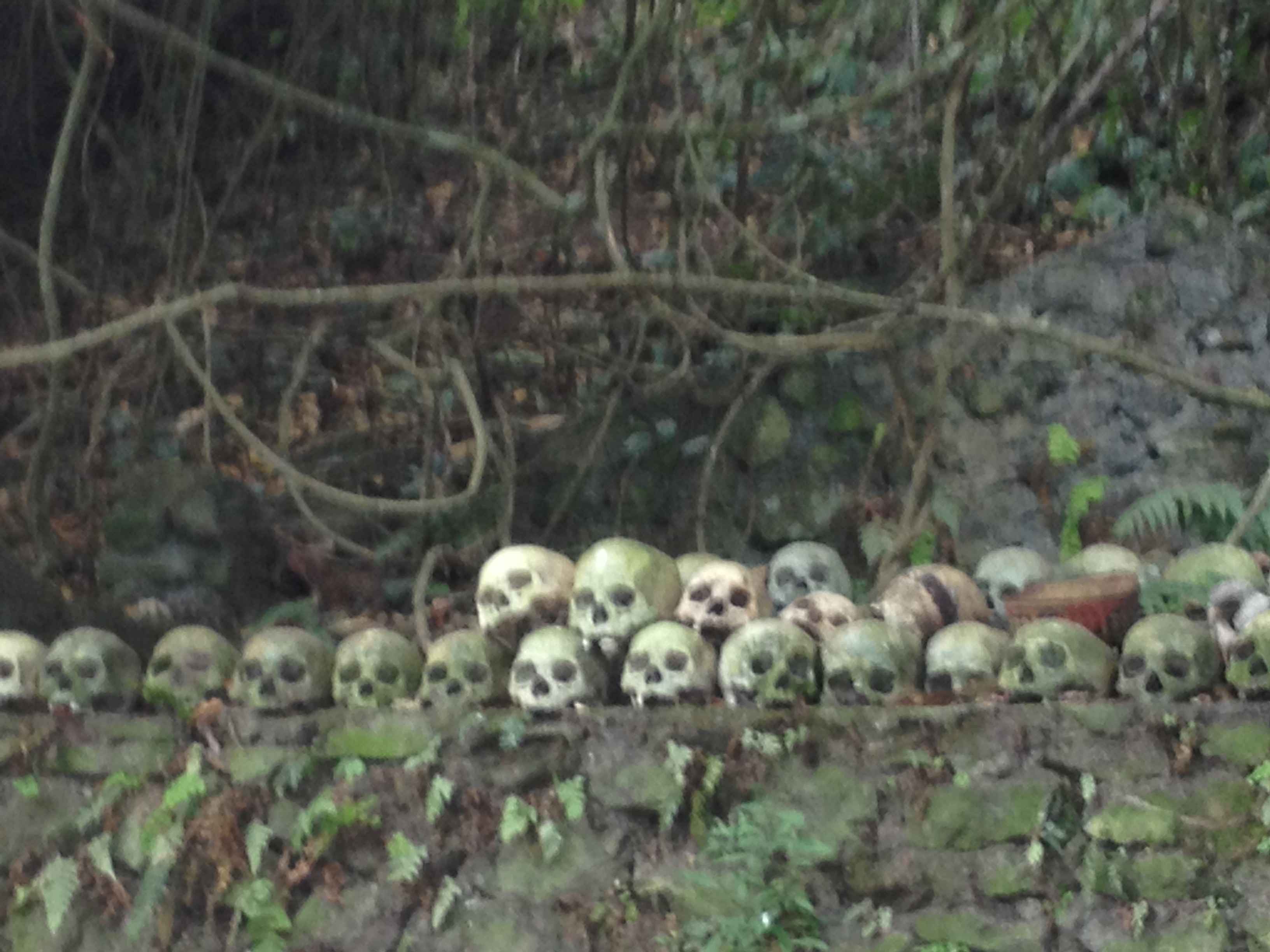 Culturele elementen en spirituele sfeer in het dorp Trunyan op Bali