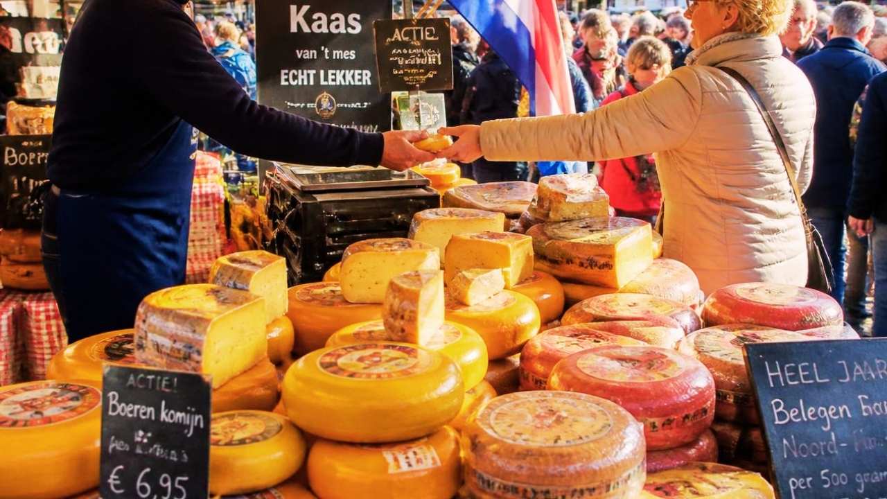 Oleh-oleh Keju Belanda: Aturan Bagasi & Tips Membawanya
