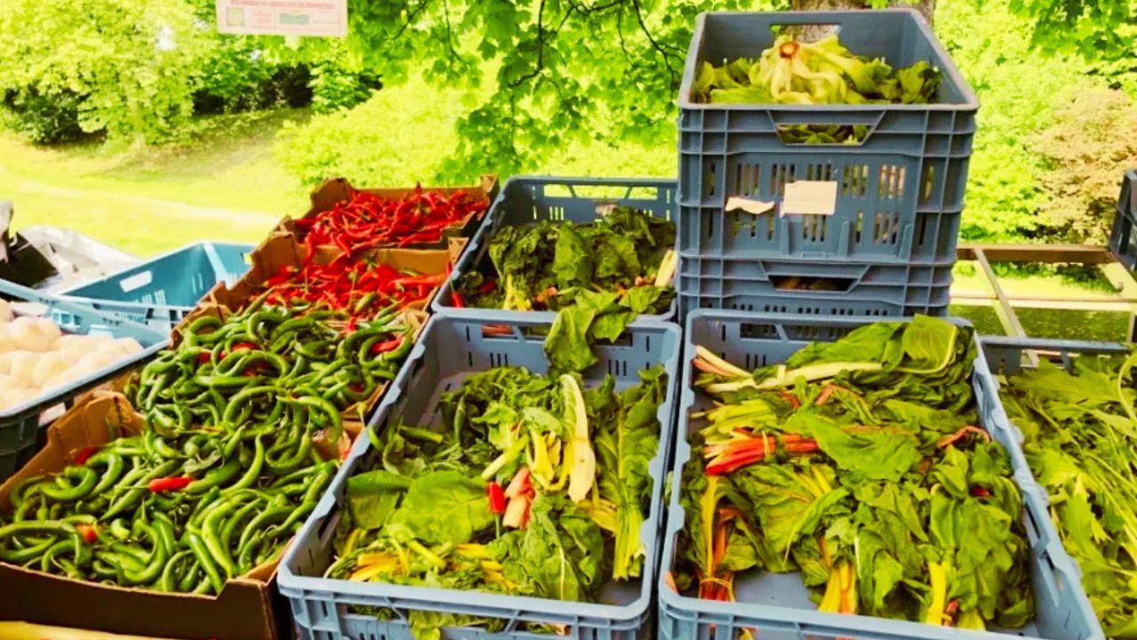 Aneka sayuran segar dijual di pasar tradisional Belanda yang menjadi tempat belanja kebutuhan sehari-hari masyarakat lokal.